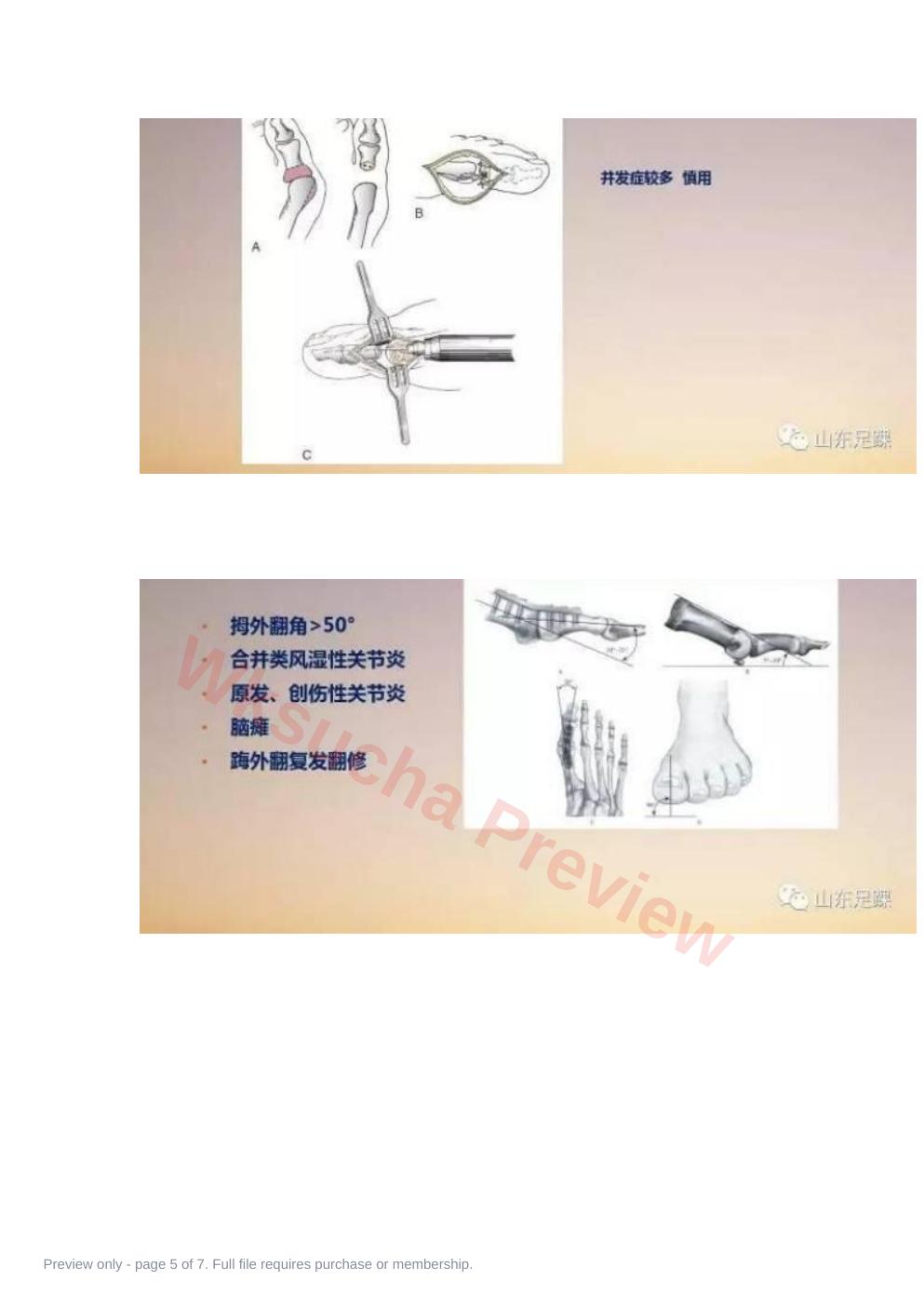 预览第 5 页