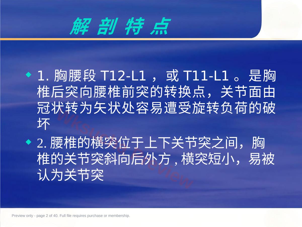 预览第 2 页