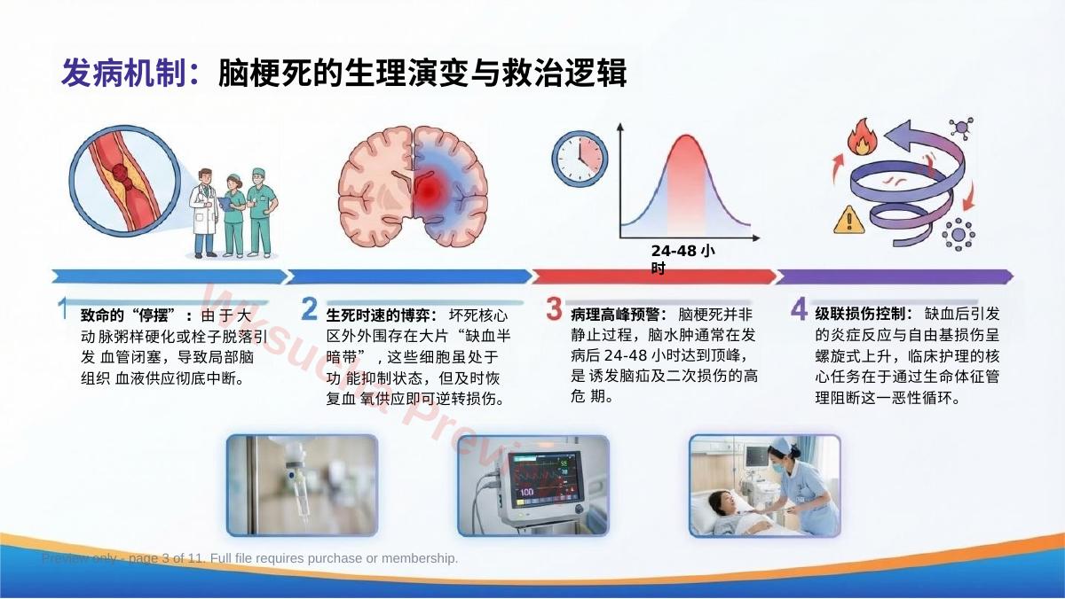 预览第 3 页