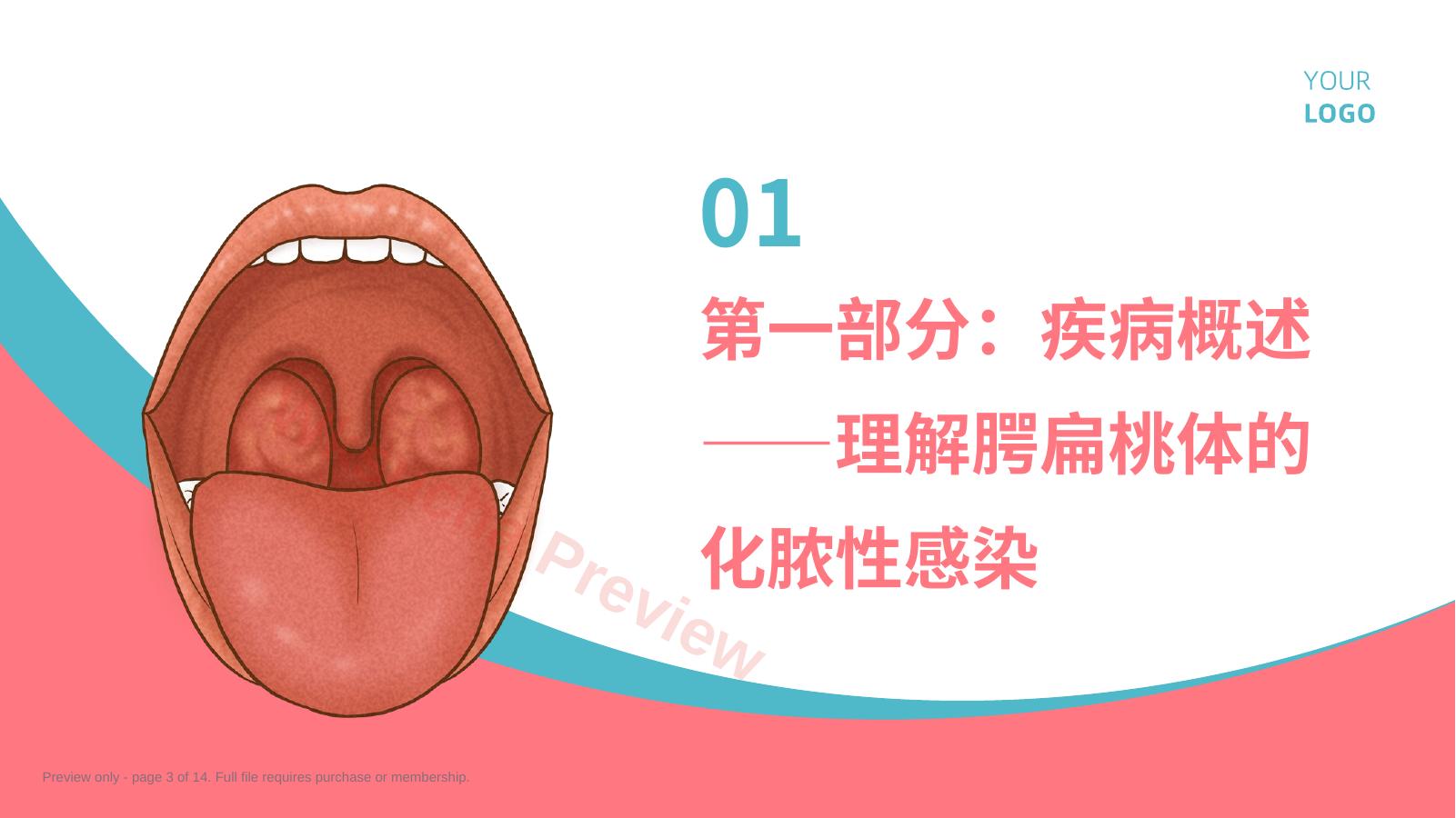 预览第 3 页