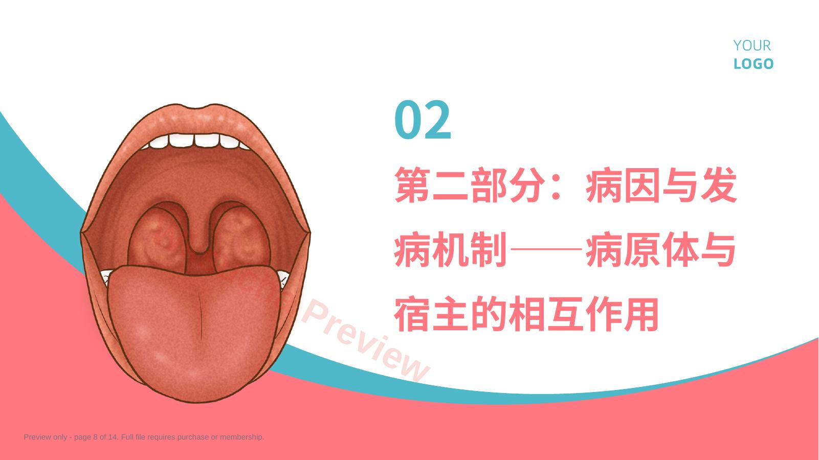 预览第 8 页