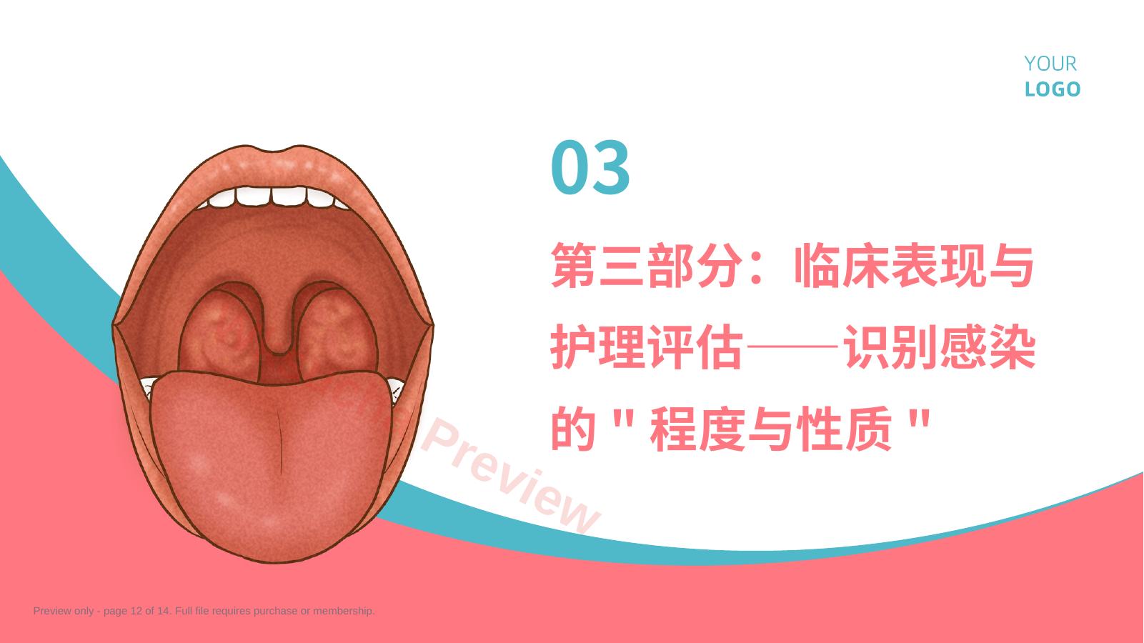 预览第 12 页