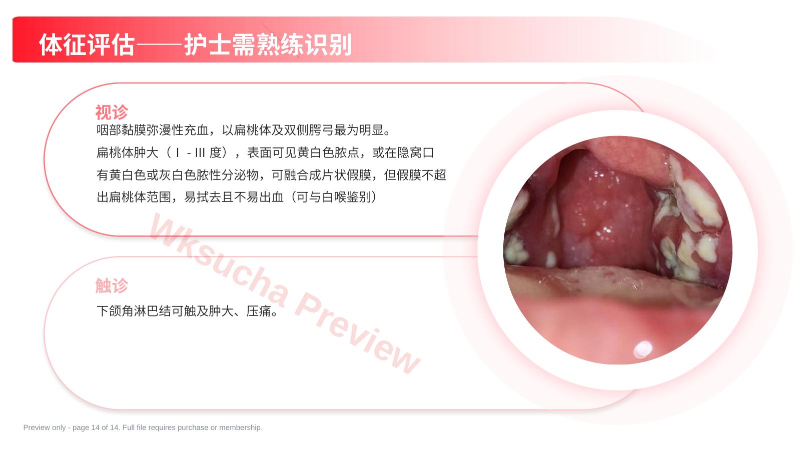 预览第 14 页