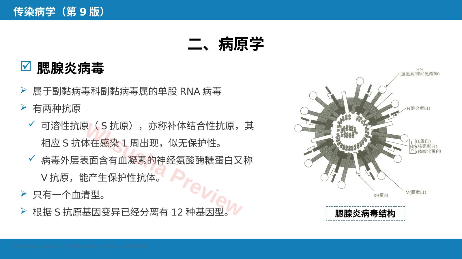 预览第 8 页