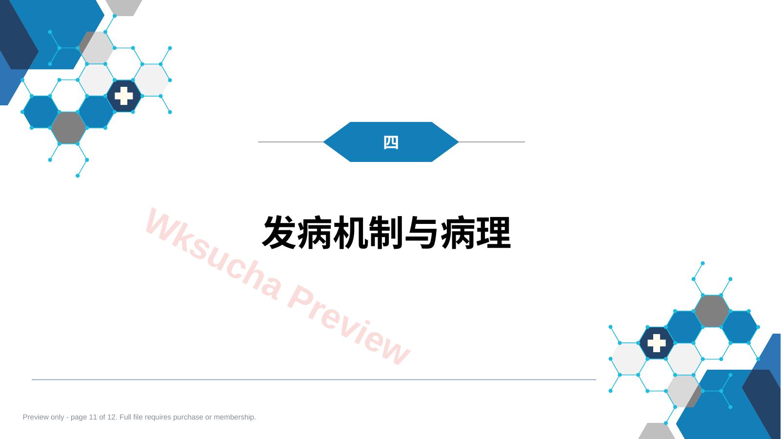 预览第 11 页