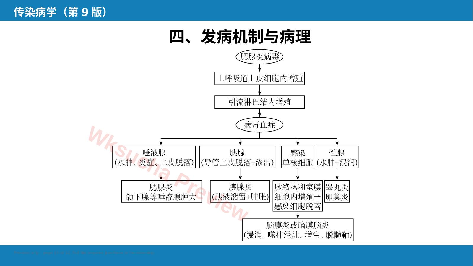 预览第 12 页