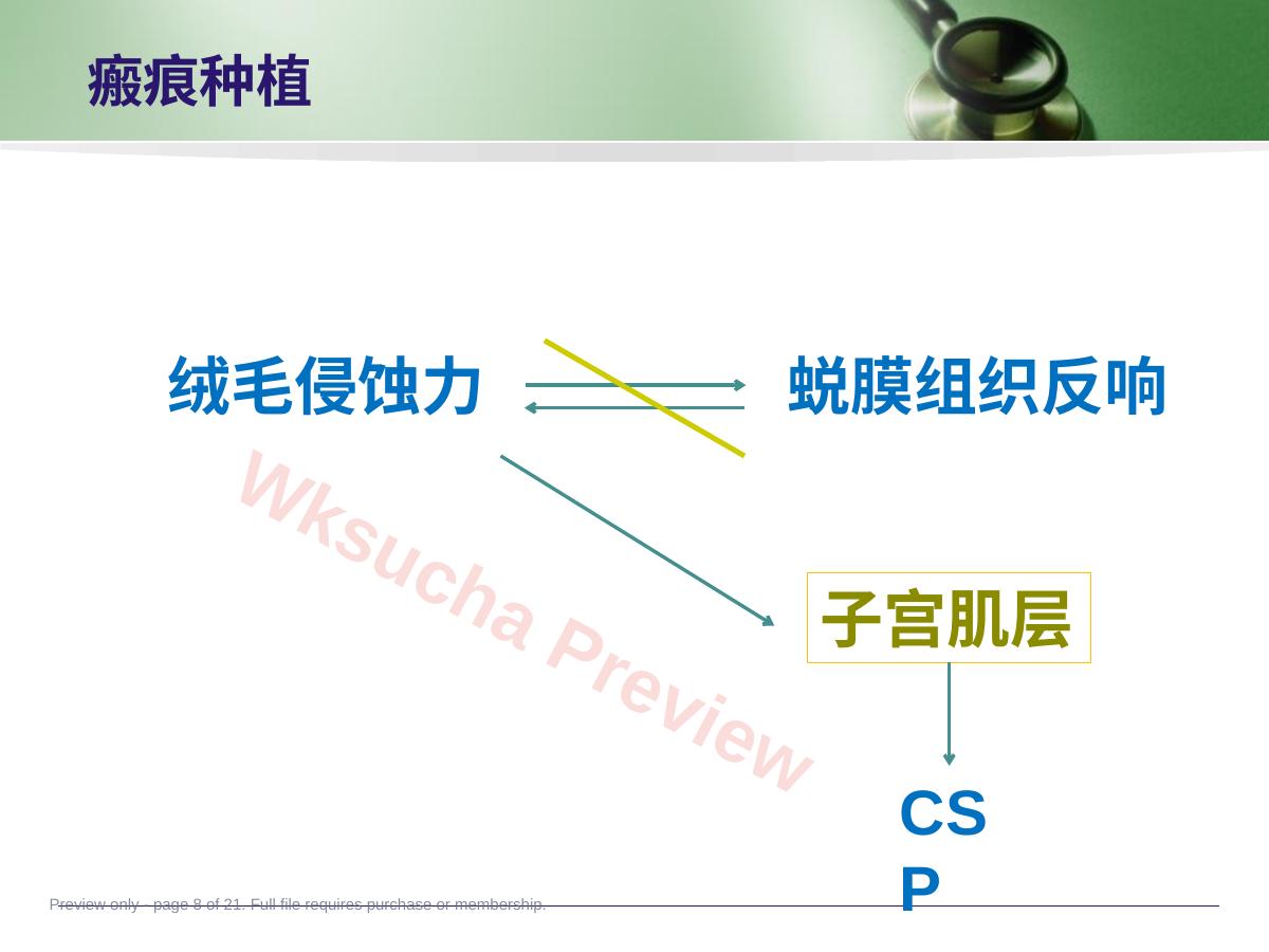 预览第 8 页