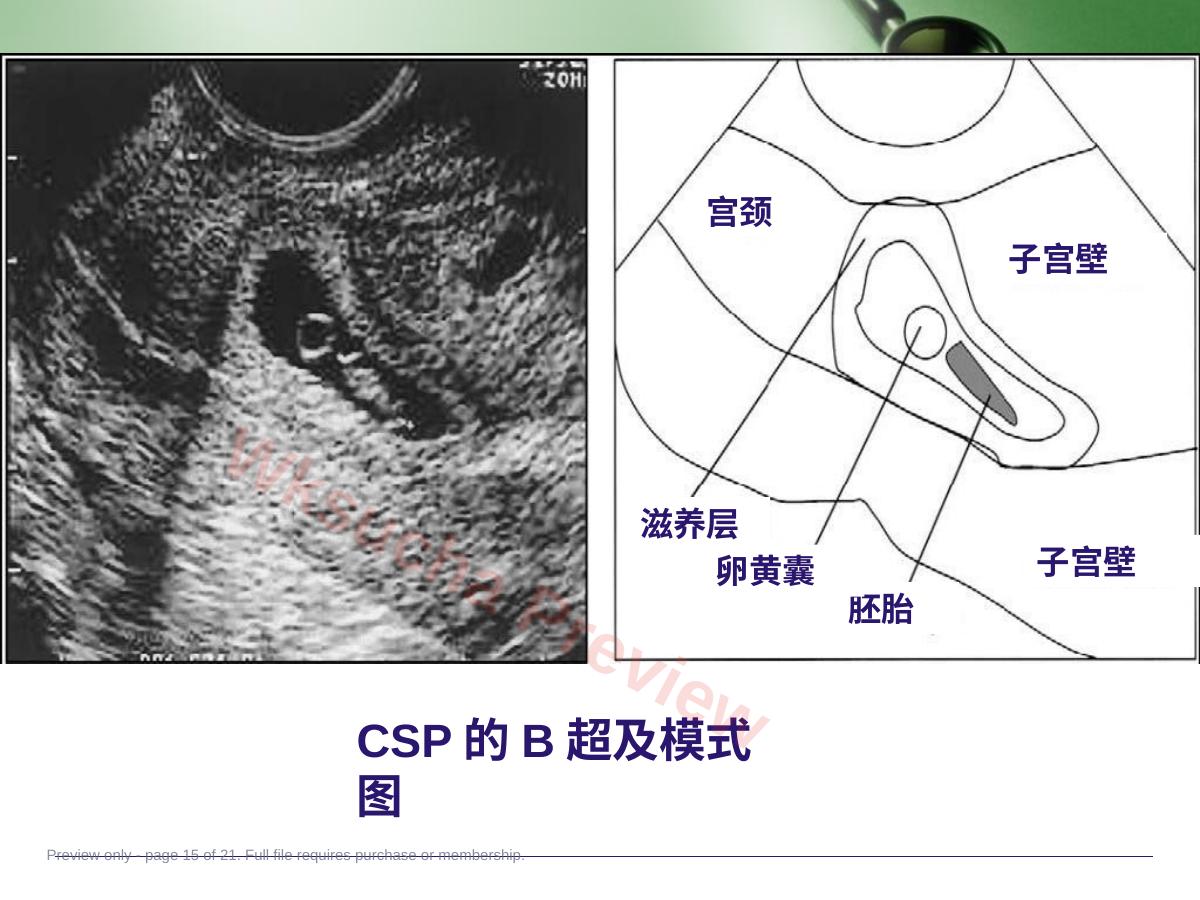 预览第 15 页