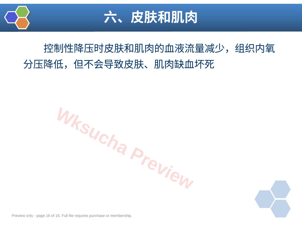 预览第 16 页
