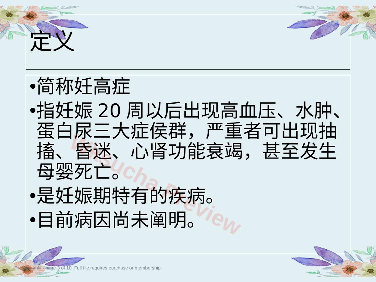 预览第 3 页
