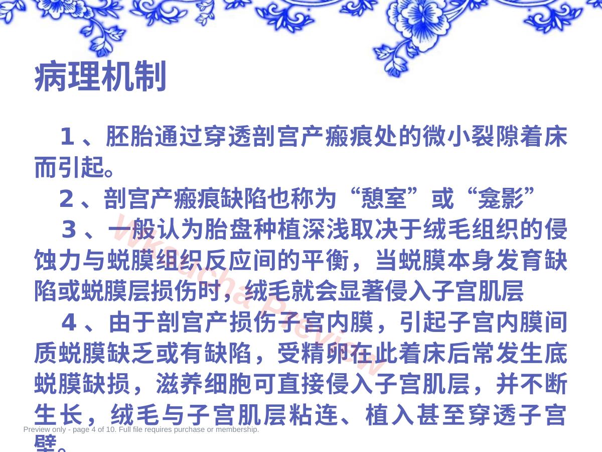 预览第 4 页