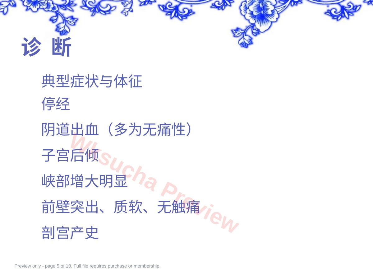 预览第 5 页