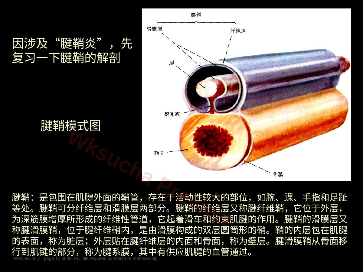 预览第 10 页