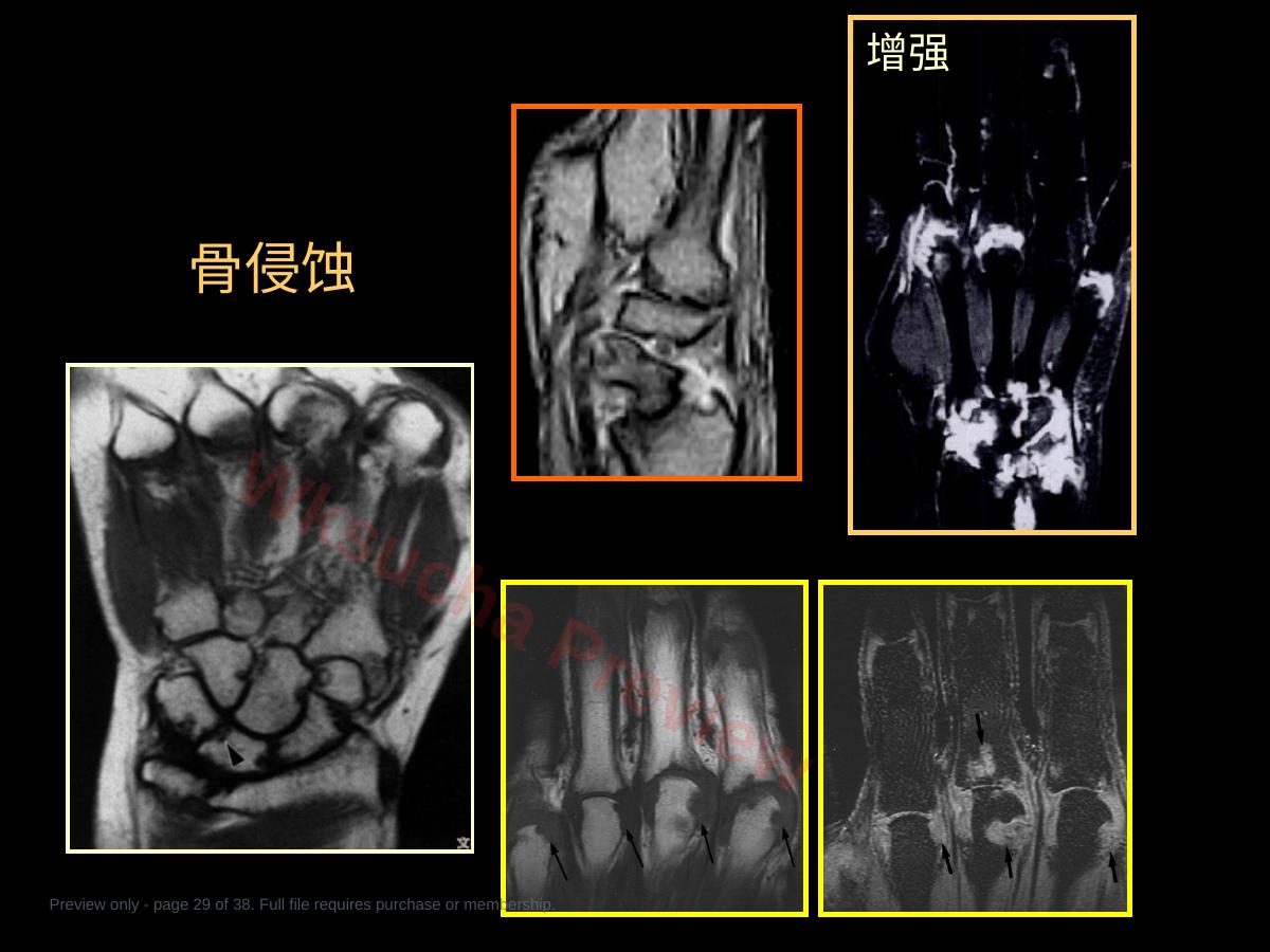 预览第 29 页
