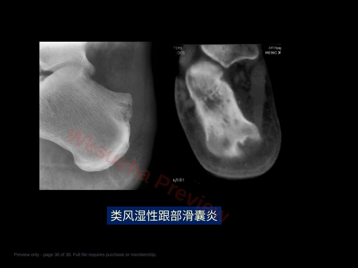预览第 36 页