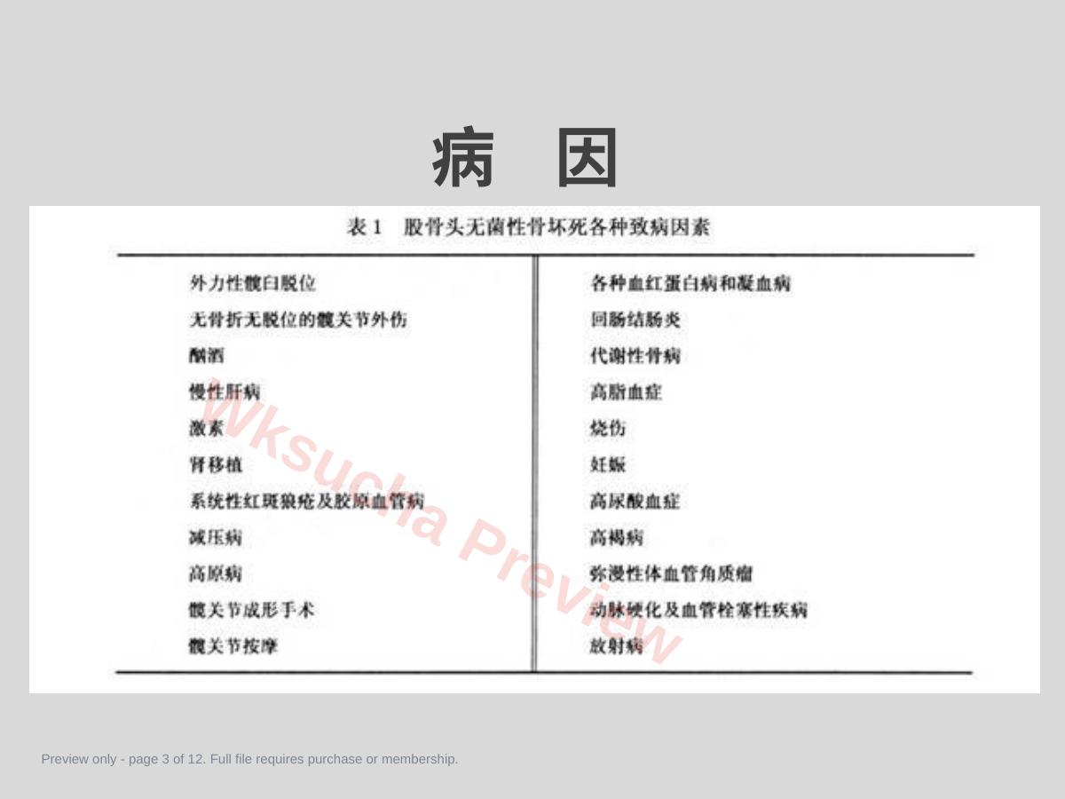 预览第 3 页