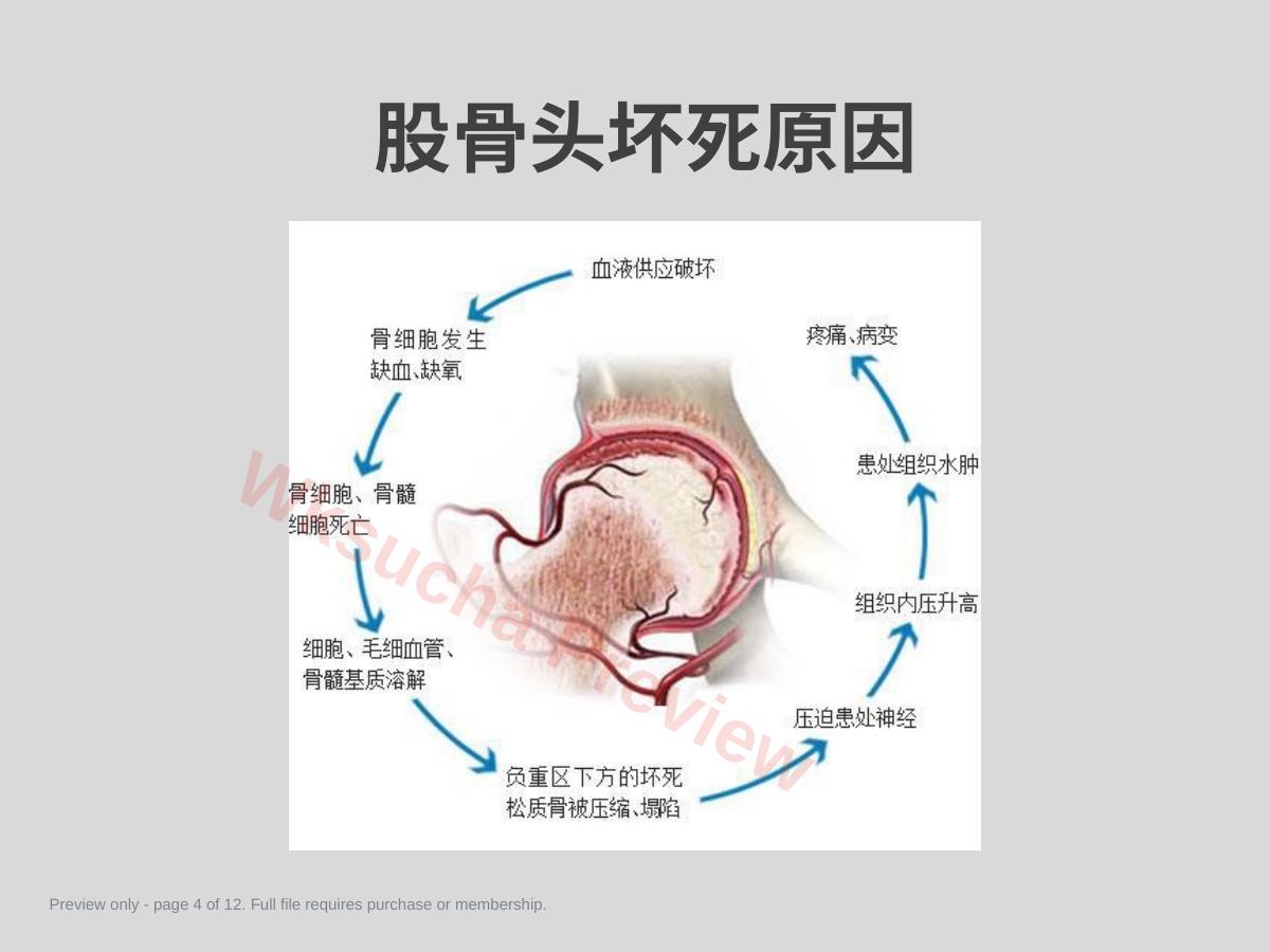 预览第 4 页