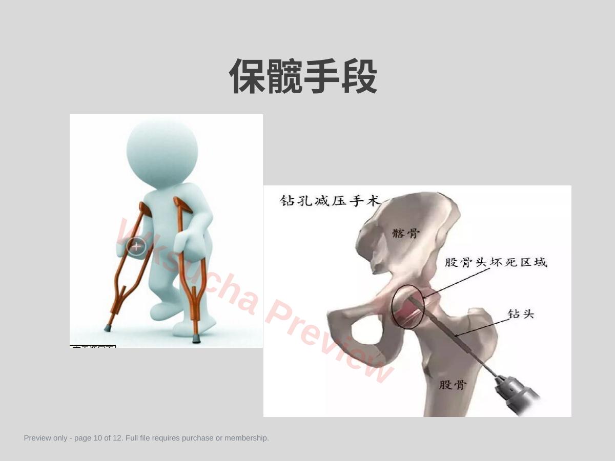预览第 10 页