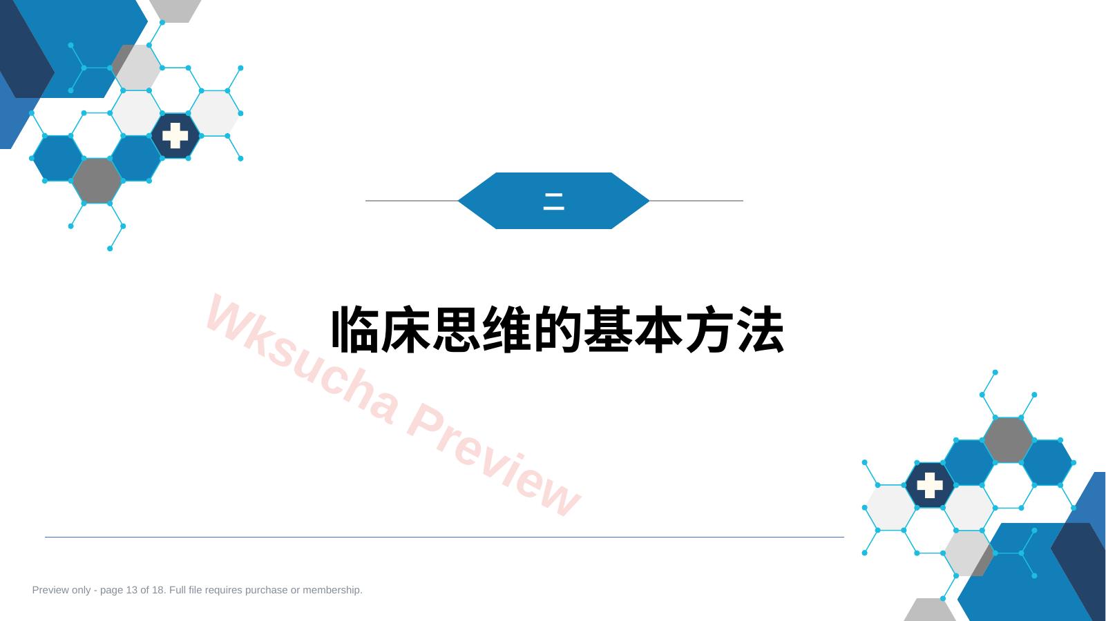 预览第 13 页