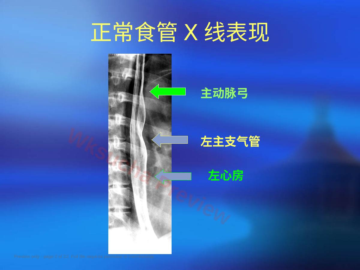 预览第 2 页