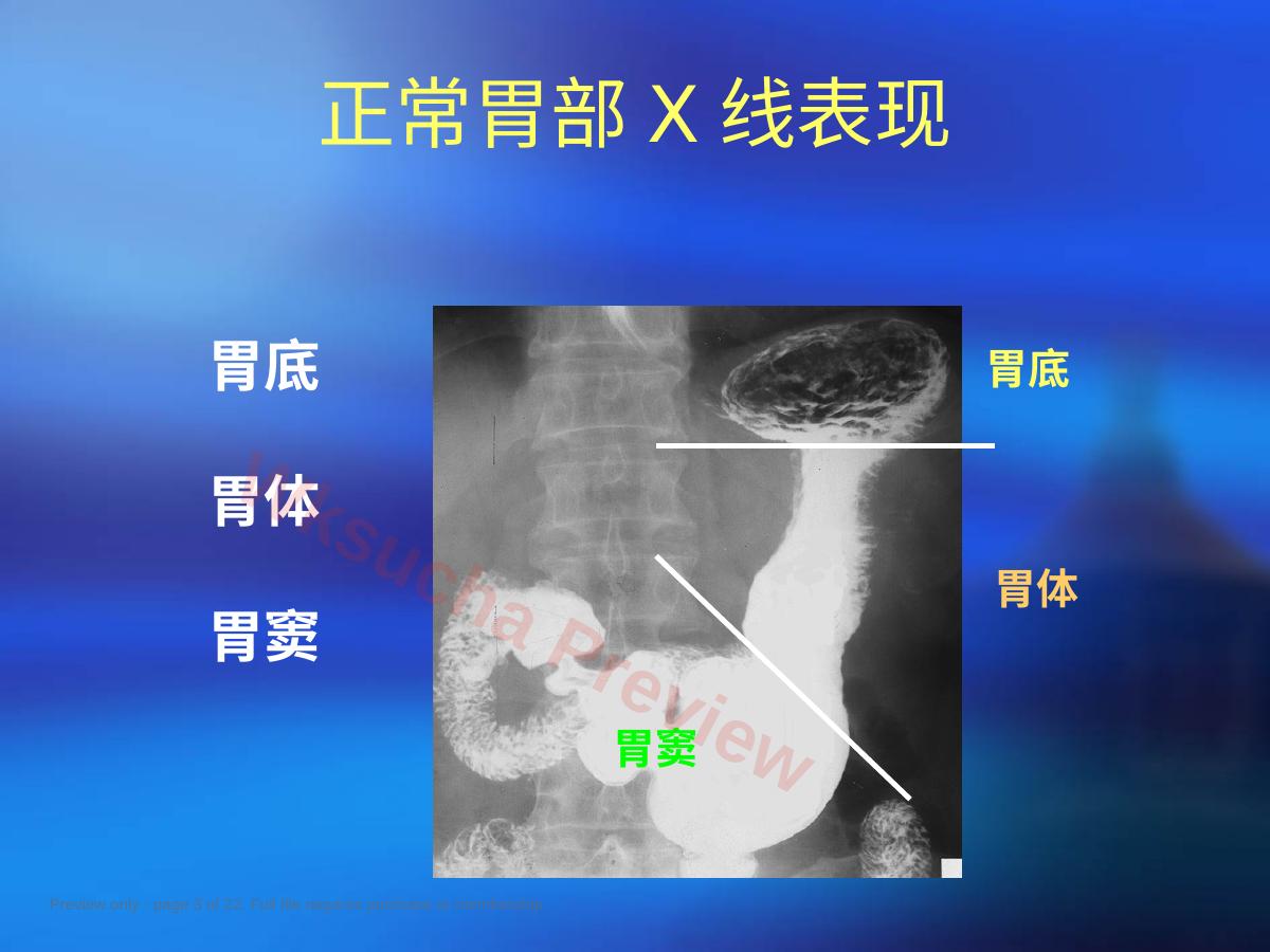 预览第 3 页