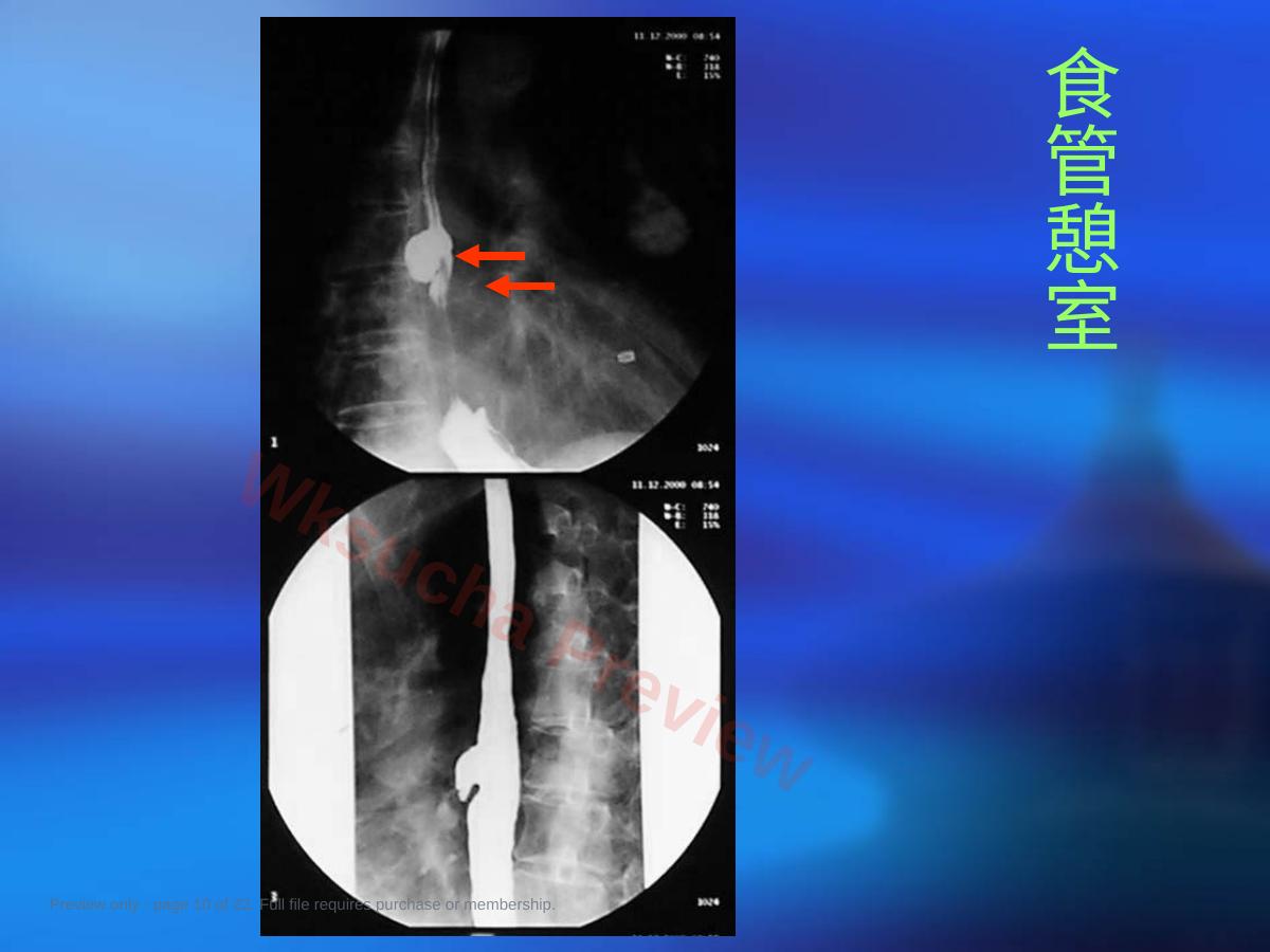 预览第 10 页