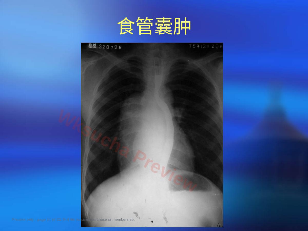 预览第 11 页