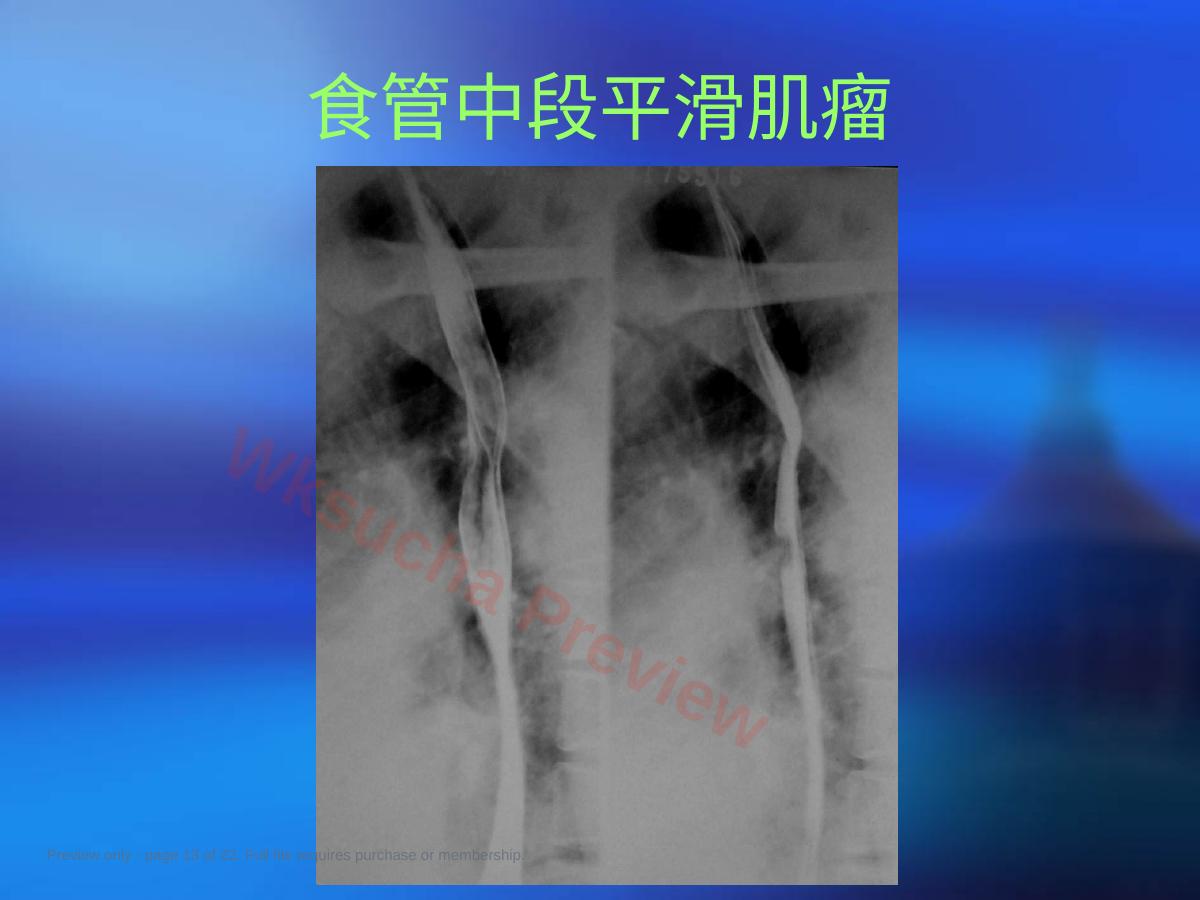 预览第 13 页