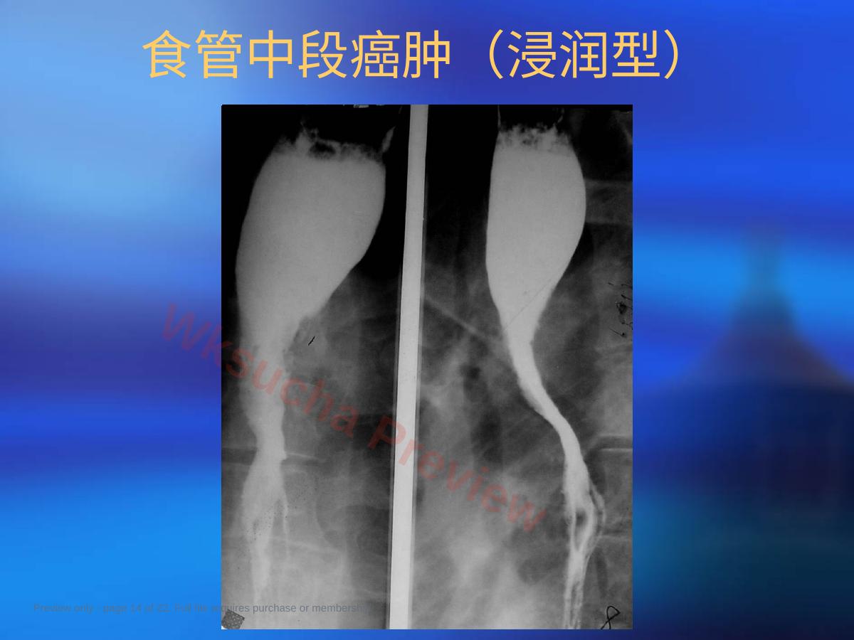 预览第 14 页