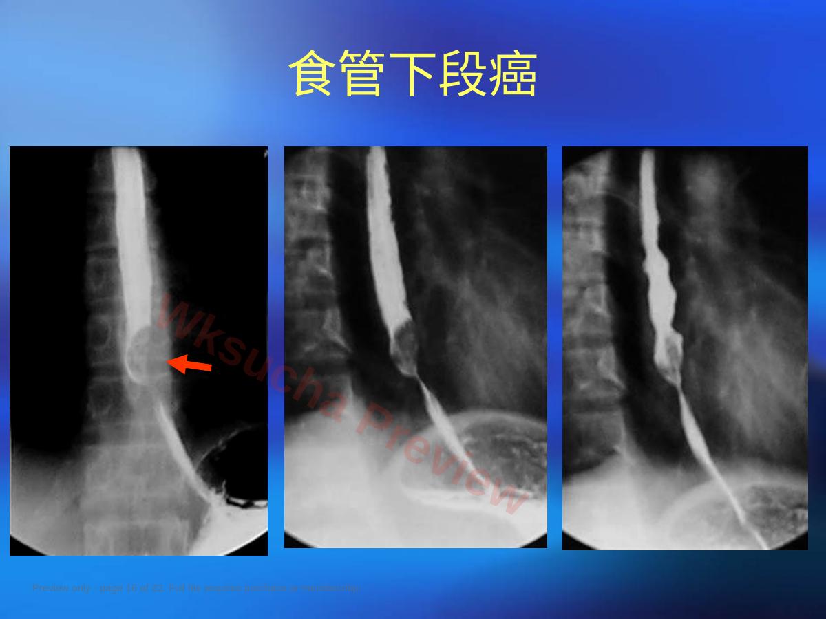 预览第 16 页