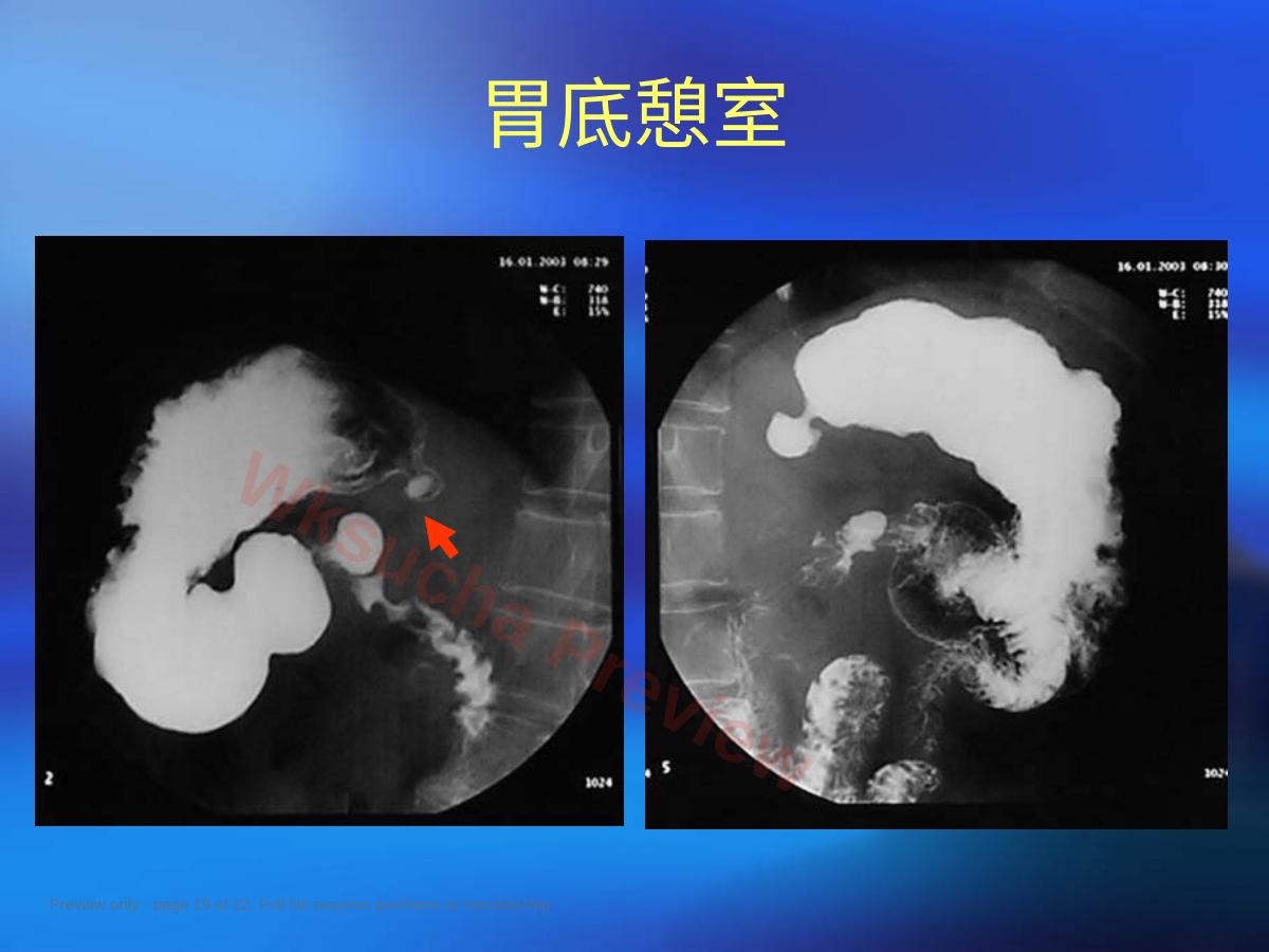 预览第 19 页