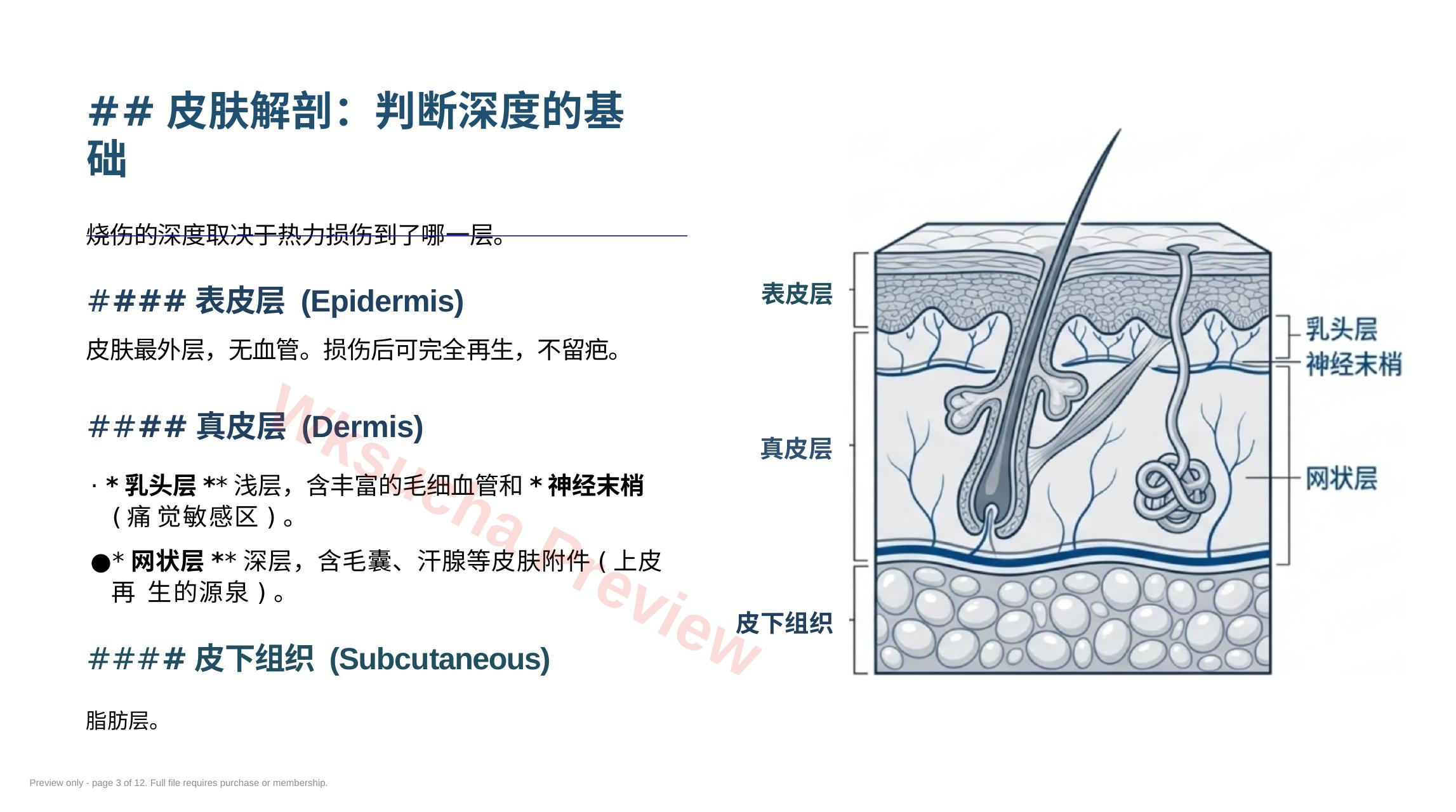 预览第 3 页