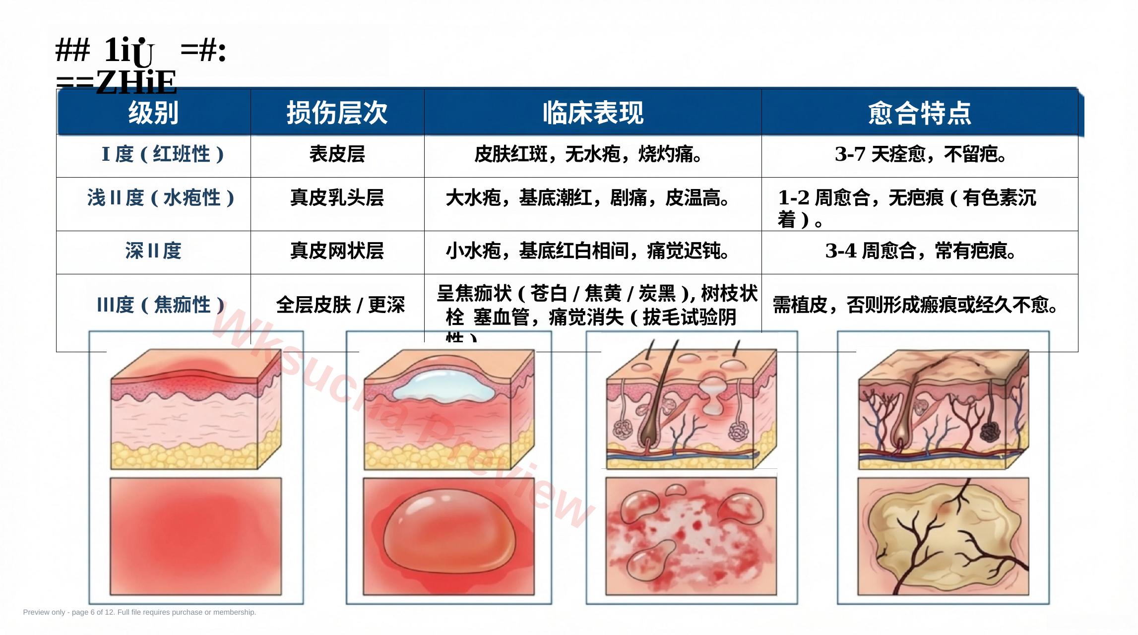预览第 6 页