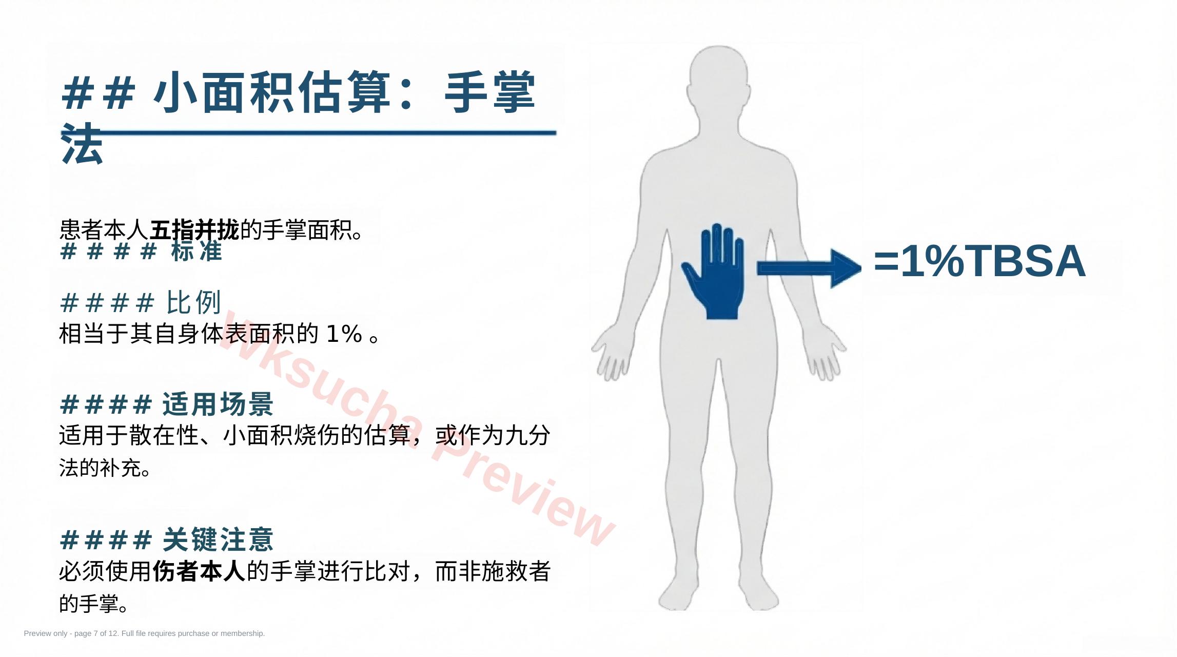 预览第 7 页