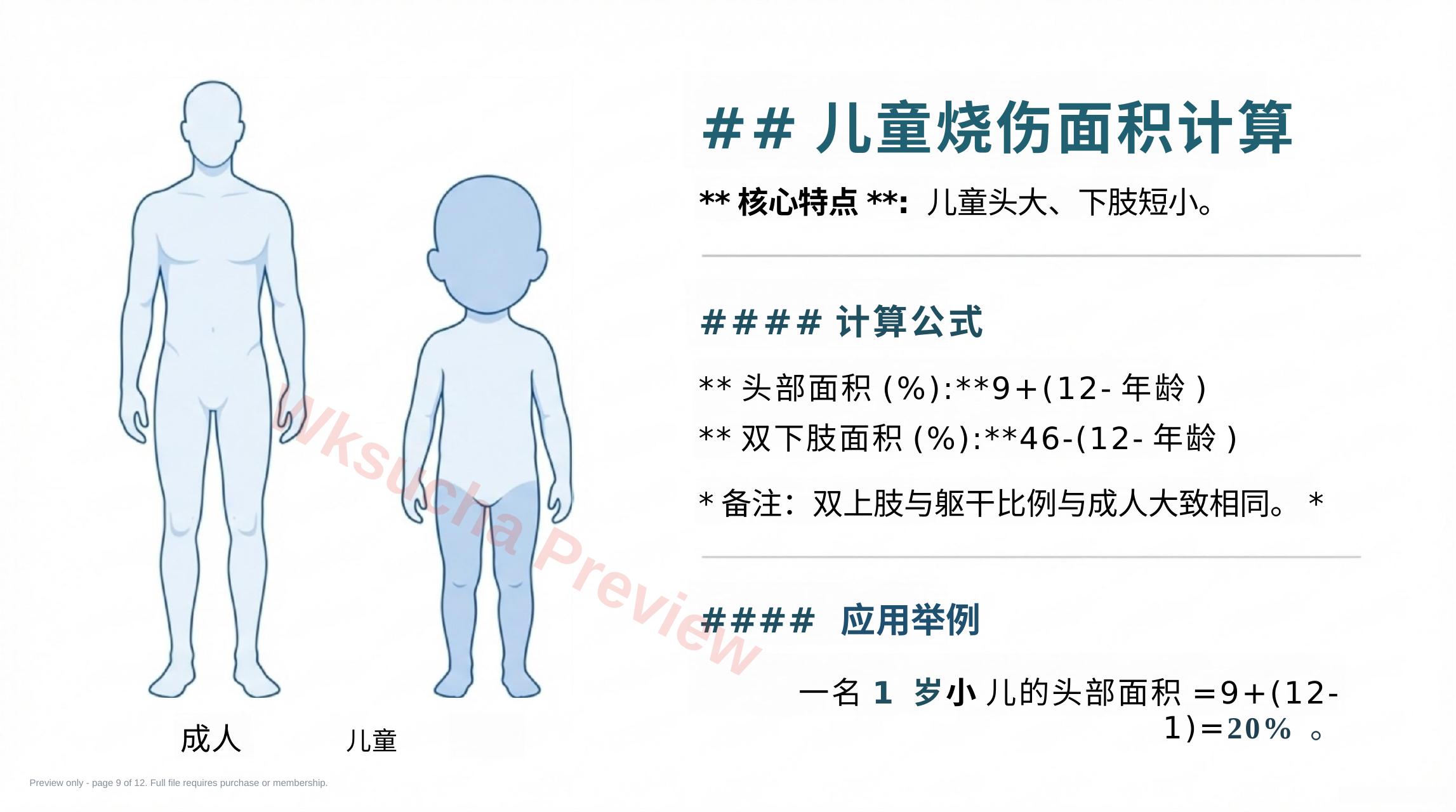 预览第 9 页