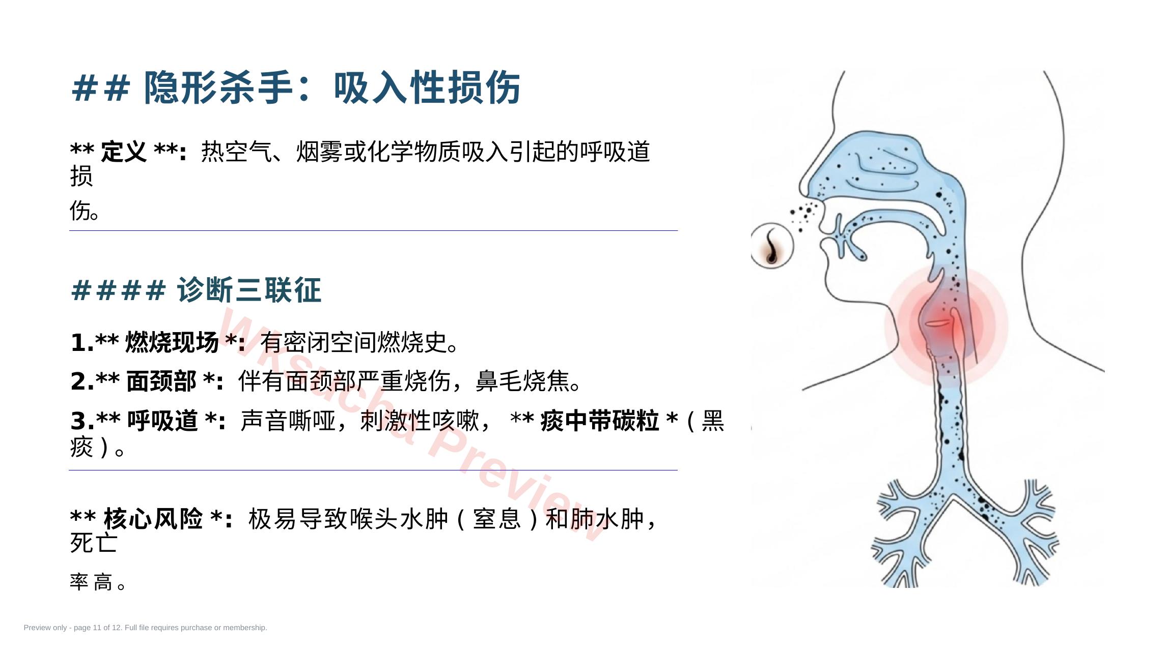 预览第 11 页