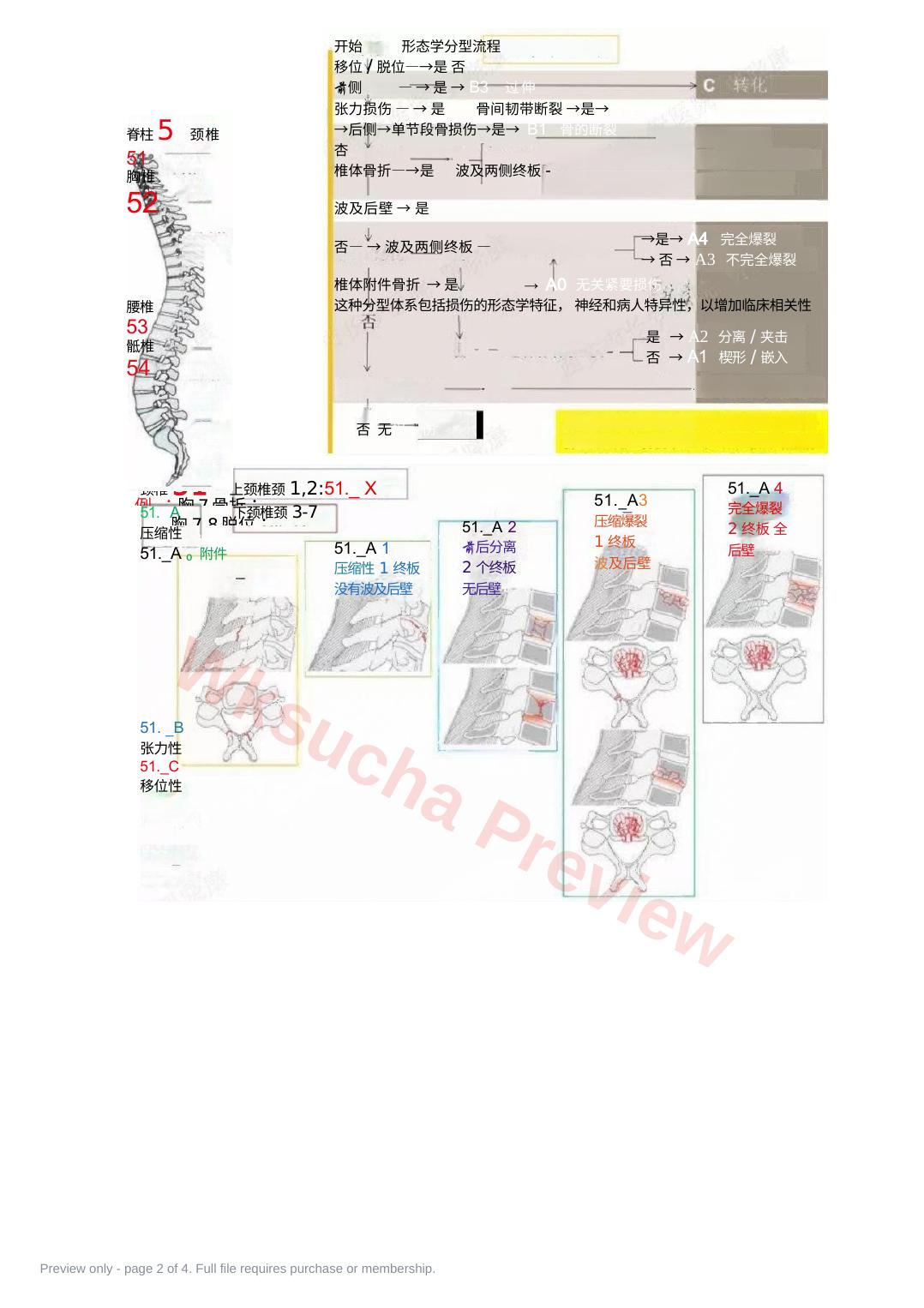预览第 2 页