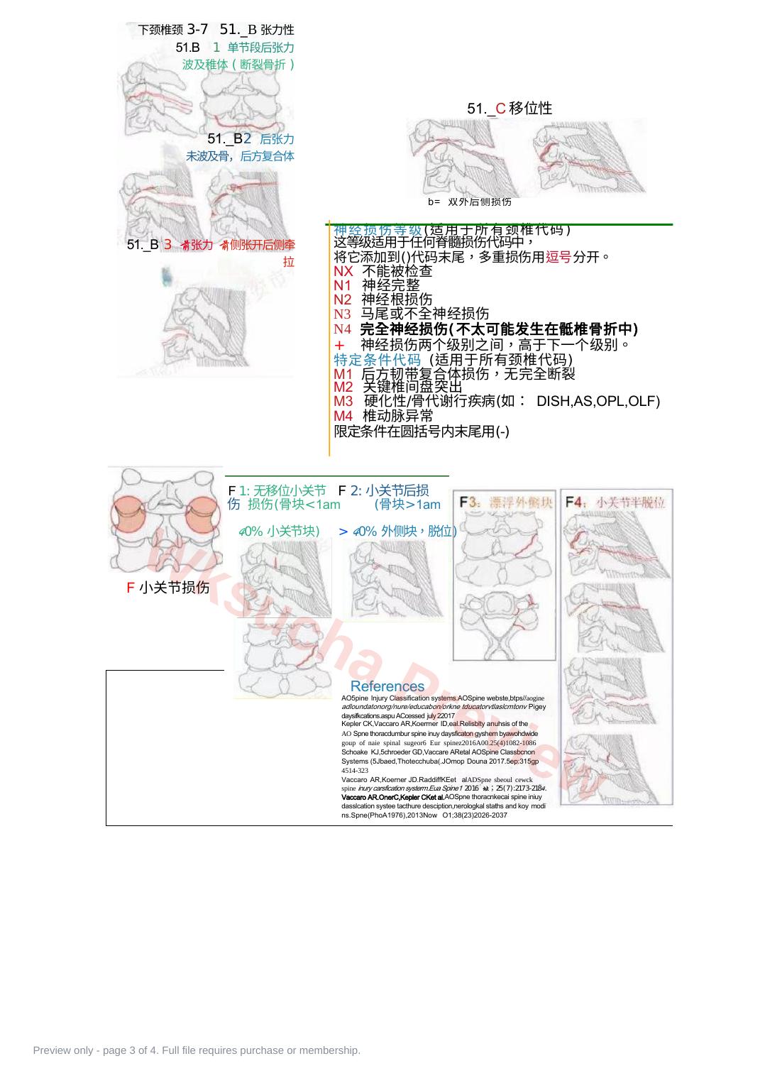 预览第 3 页