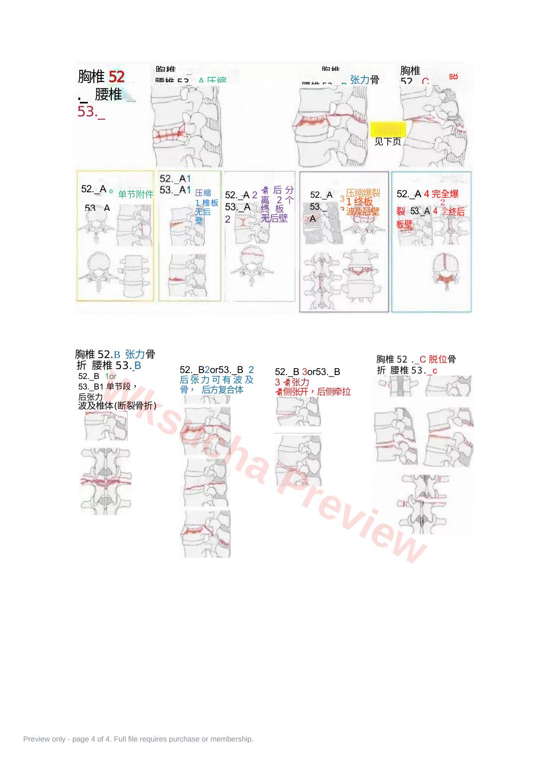 预览第 4 页