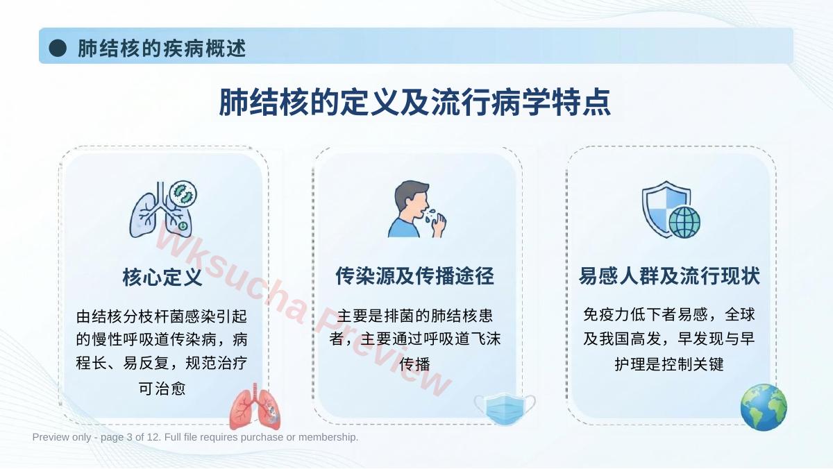 预览第 3 页