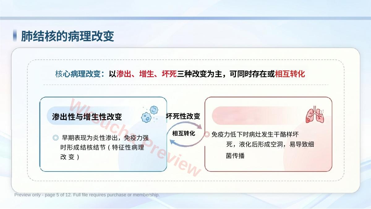 预览第 5 页