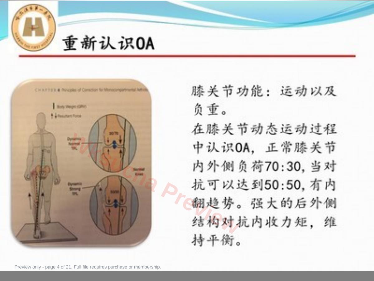 预览第 4 页