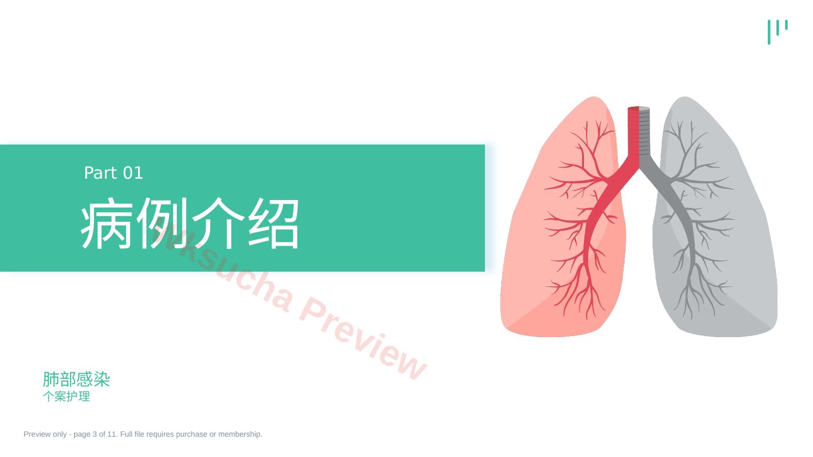 预览第 3 页