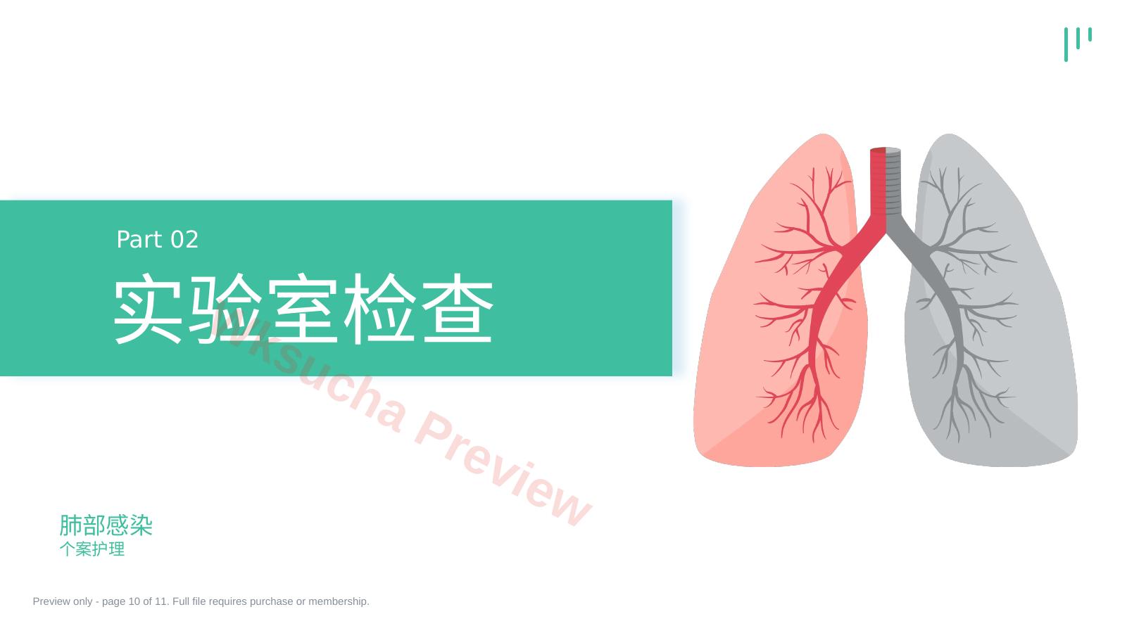 预览第 10 页