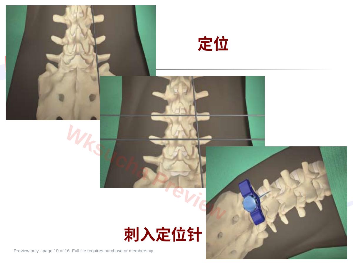 预览第 10 页