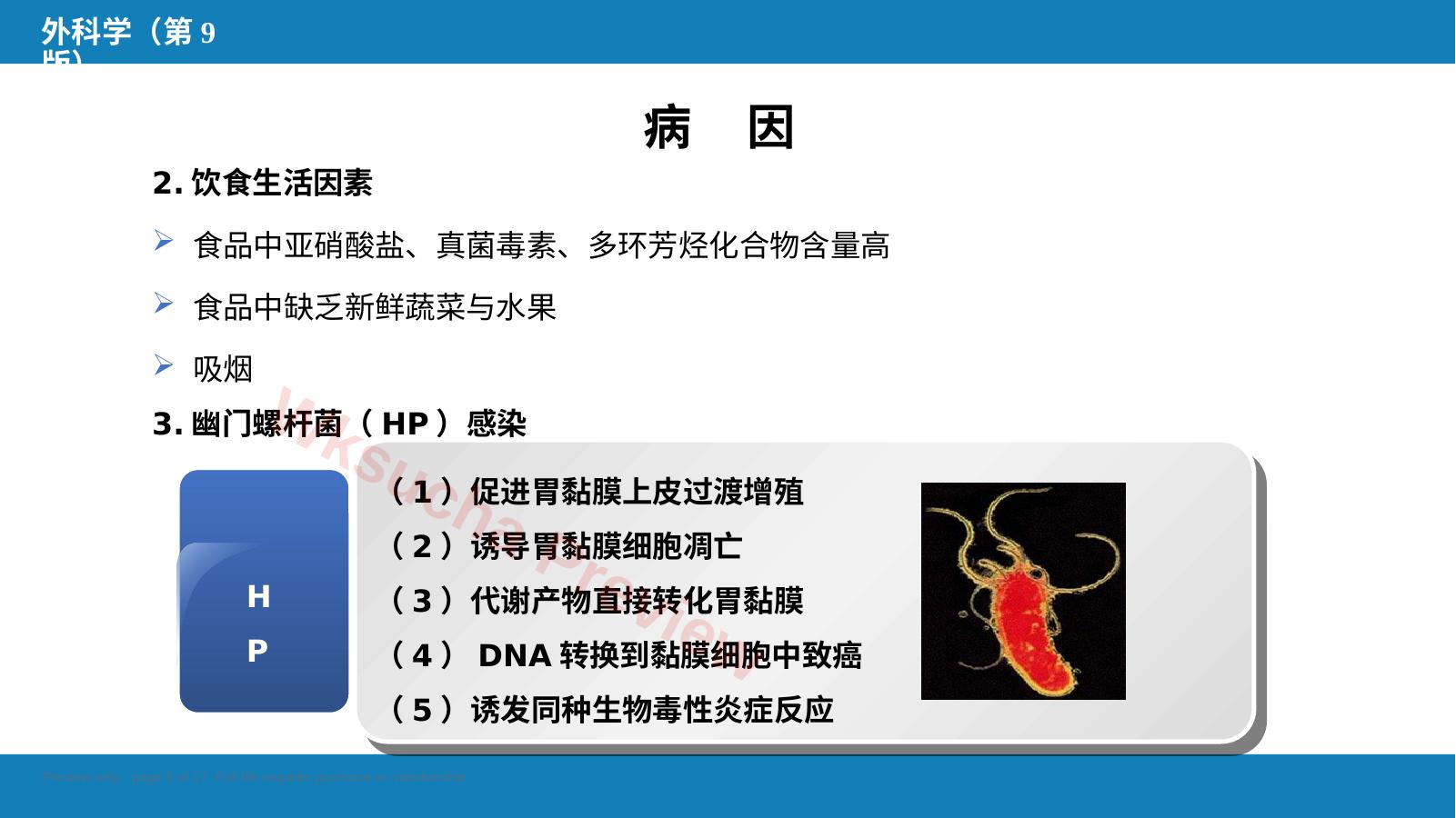 预览第 5 页