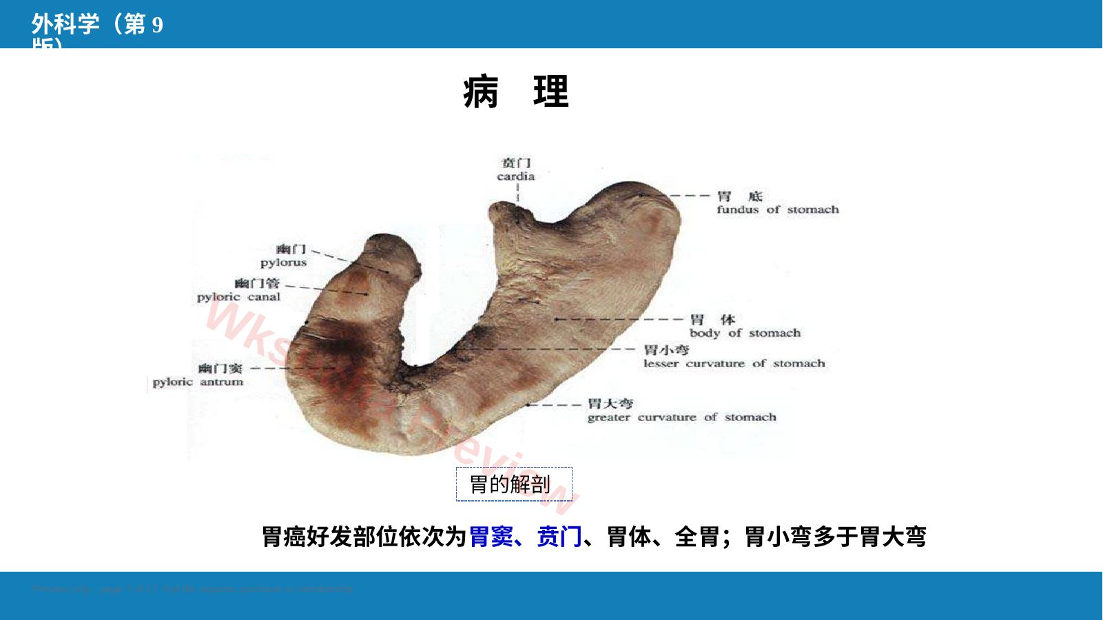 预览第 7 页