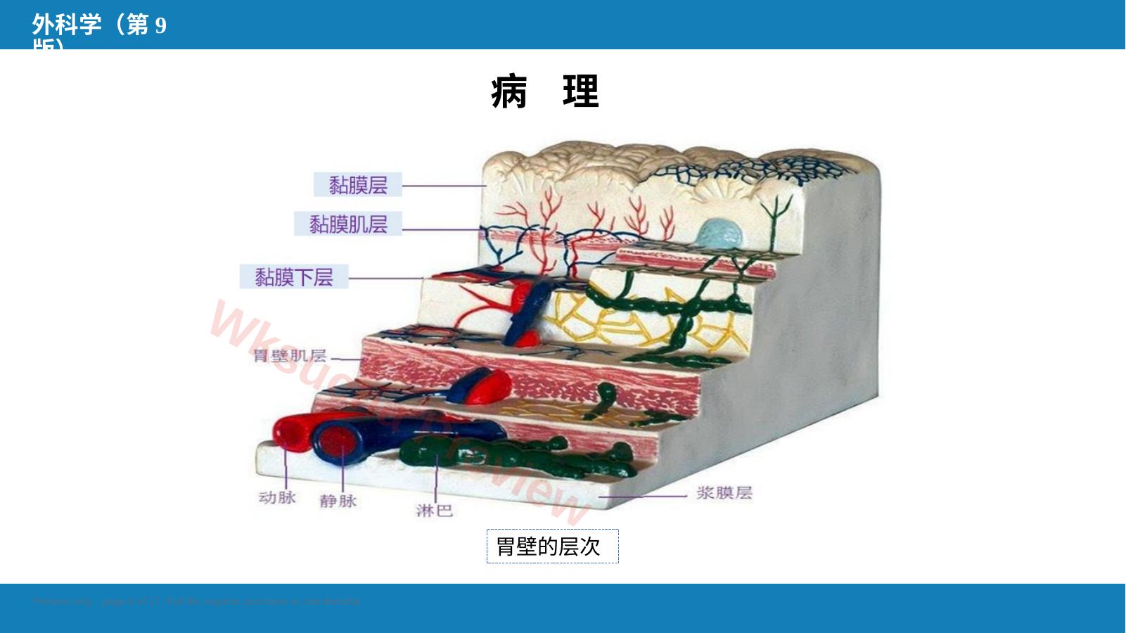 预览第 8 页