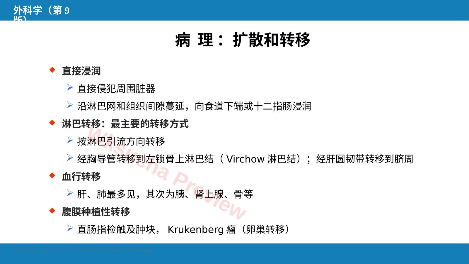 预览第 13 页