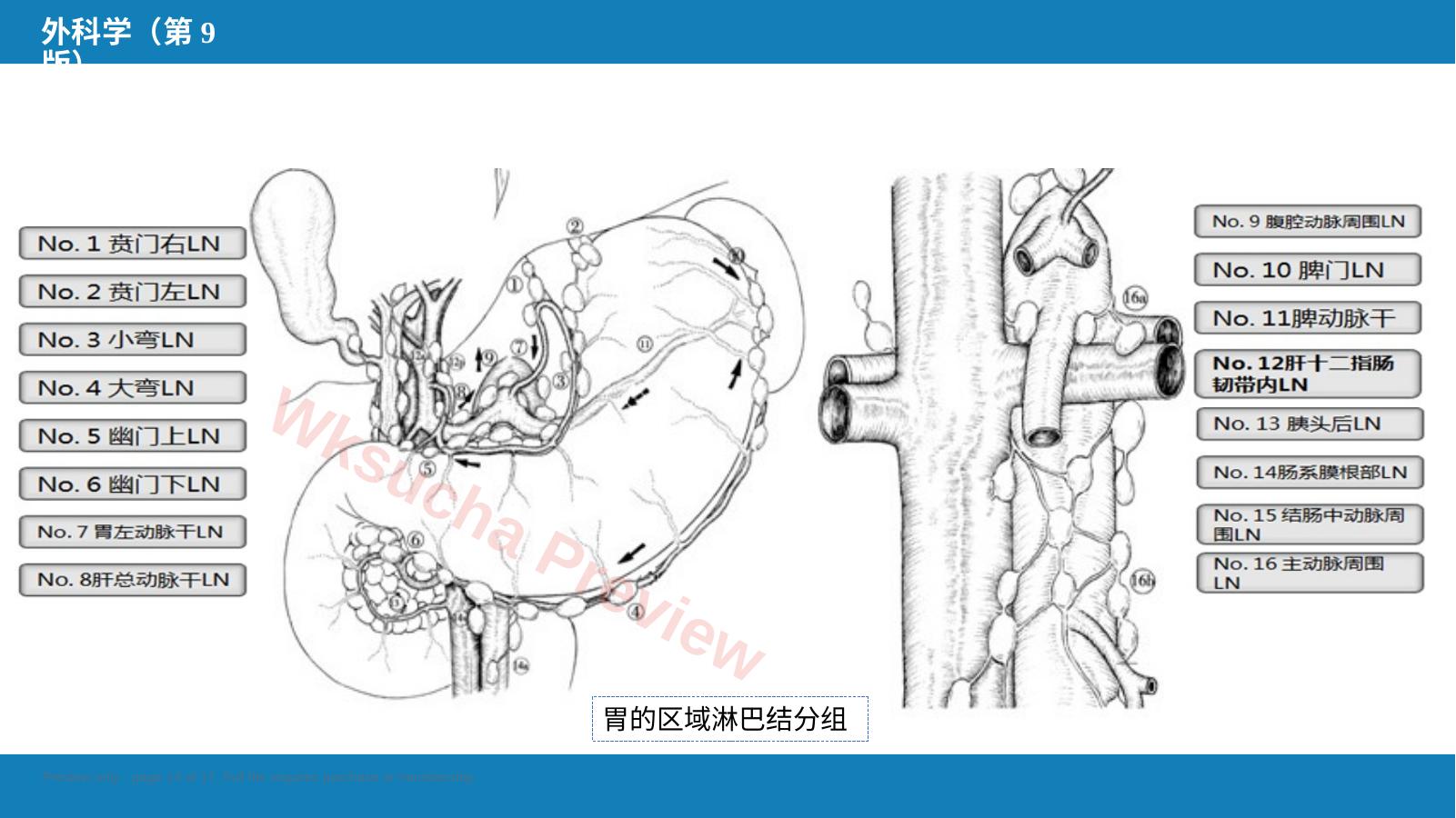 预览第 14 页